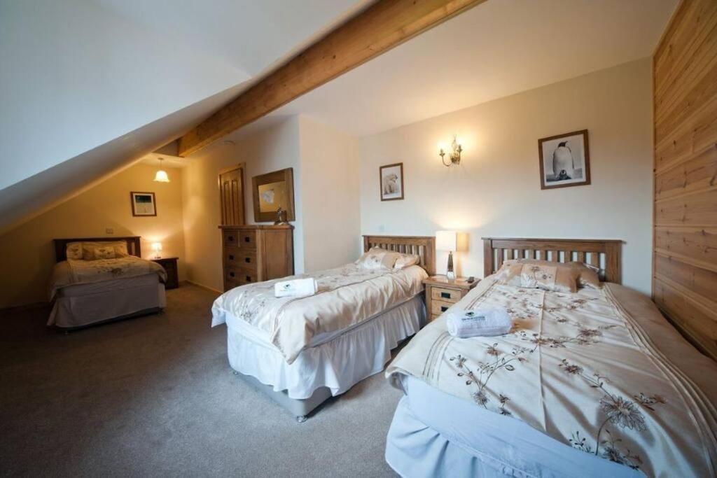 Beech Tree Eco Lodge Brecon Dış mekan fotoğraf