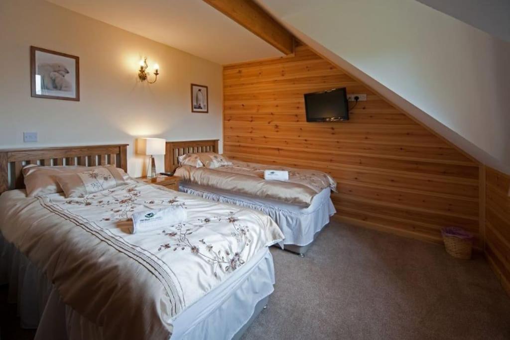 Beech Tree Eco Lodge Brecon Dış mekan fotoğraf